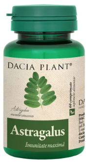 Astragalus, 60 tablets, immune system